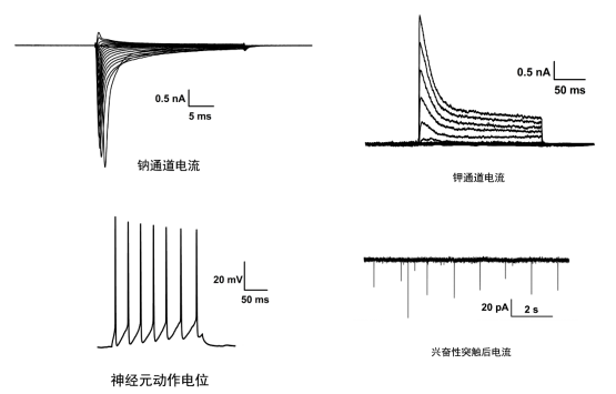 浊度计与橡胶制品应用领域之差异解析