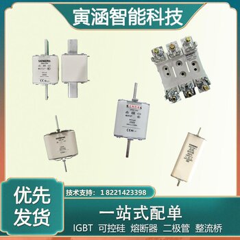 低压熔断器项目概述及研究